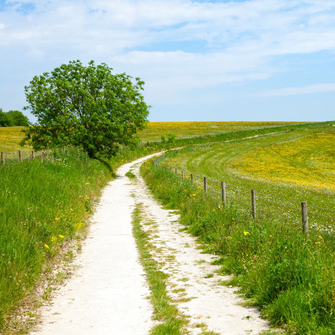 Pilgrim's Way gravel track toward Ashford on the L'Echappee Paris to London gravel ultra British leg