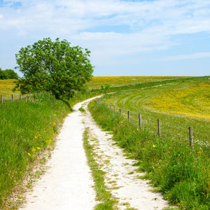 a Chalk path running through green fields, part of the itinerary of Hidden Tracks Cycling's trail of Two Cities Gravel adventure between London and Paris.