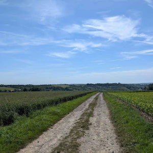 A roman road crossing the Picardy Countryside on Hidden Tracks Trail of Two Cities gravel bike adventure from London to Paris 