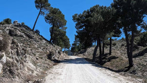 Winding dirt road through a mountainous area with trees on a clear day