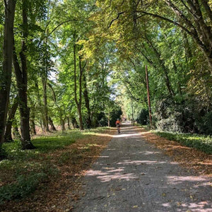 A gravel bike rider enjoying a peaceful Sunday ride through a tree-lined path.