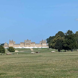 Gravel bike tyres rolling across the countryside towards Blenheim Palace, a favourite Sunday gravel ride destination.