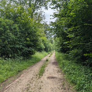 A typical scene of Northern France, a cart track leading straight thorough the woods, part of the London to Paris Gravel route by Hidden Tracks Cycling.