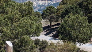 Scenic view of a mountainous landscape with trees and a wooden post and a gravel track in to background.