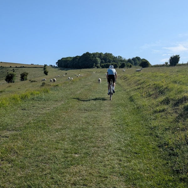 Cyclist riding a grass double-track through a sheep pasture on the South Downs, on the Brighton Bound route.