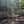 Load image into Gallery viewer, Sun-dappled gravel track through woodland on the Brighton Bound route, with riders visible in the distance.
