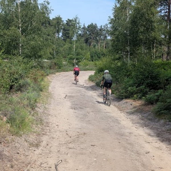 Gravel path between farmland and oak trees on the Brooklands GPX gravel bike route from London, Surrey.