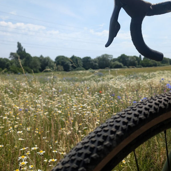 Gravel bike tyre and handlebars beside a wildflower meadow on the Brooklands GPX gravel bike route from London.