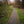 Load image into Gallery viewer, A boardwalk winds through Cranebank nature reserve on the Planes, Cranes and Tunnels gravel bike route in London
