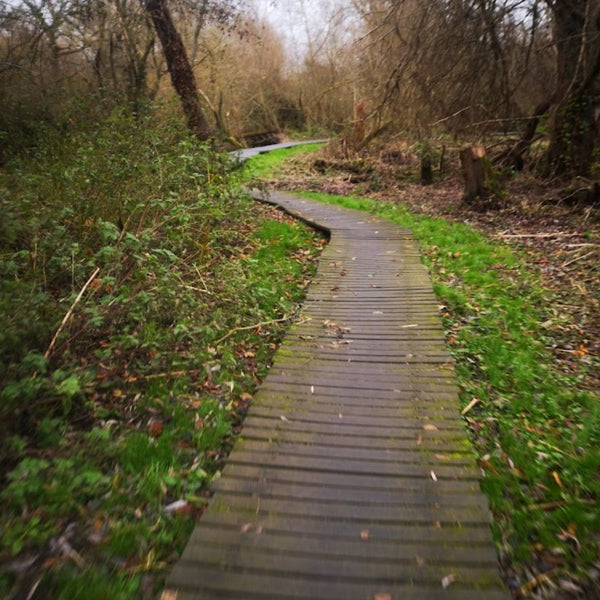 A boardwalk winds through Cranebank nature reserve on the Planes, Cranes and Tunnels gravel bike route in London
