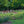 Load image into Gallery viewer, Richmond Park, London
