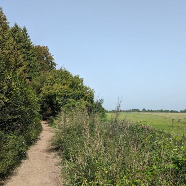 Narrow gravel bridleway running along a hedgerow beside open farmland on the Drover's Road to Winchester gravel route.