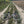 Load image into Gallery viewer, Gravel bike resting across a grassy double-track path through farmland on the Drover's Road to Winchester route.
