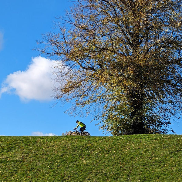 A cyclist crests a grassy ridge beneath an autumn tree in Carshalton Park on the Ophelia in the Hogs Mill route.