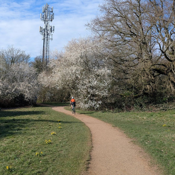 A cyclist follows a gravel path past blackthorn blossom and a mobile mast in Queen Mary's Park on the Ophelia in the Hogs Mill route.