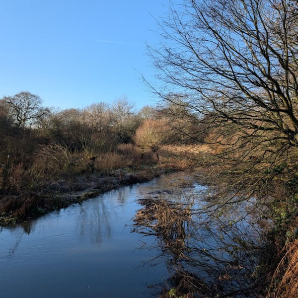 The River Crane on a frosty winter morning, part of this gravel bike route through West London