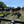 Load image into Gallery viewer, A herd of cows blocking a farm track, seen over the handlebars of a gravel bike, on The Runaway King route through Kent.
