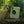 Load image into Gallery viewer, A gravel bike leaning against an old washing machine dumped on the Pilgrims' Way, on The Runaway King gravel route to Faversham.
