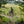 Load image into Gallery viewer, Gravel cyclist with a red bike at the edge of a poppy and wildflower field, framed by trees, on The Runaway King route to Faversham.
