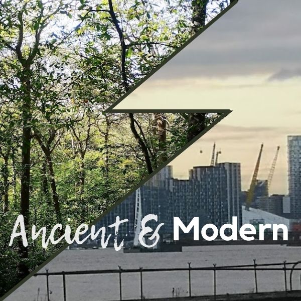 Gravel bike route from London — the Ancient and Modern GPX route through natural trail and woodland.