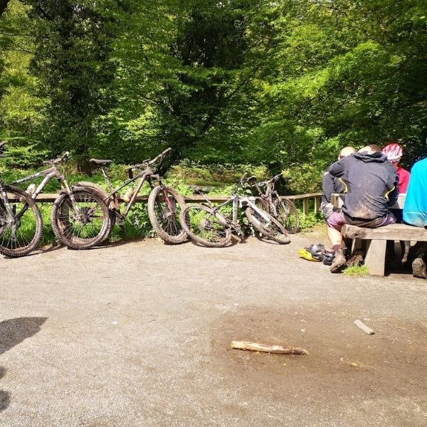 Collection of muddy mountain bikes at the High Beech Kiosk in Epping Forest on one of Hidden Tracks Cycling’s off-road bike routes from London.