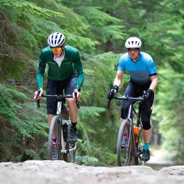 a pair of gravel cyclists riding through a forest of pine trees