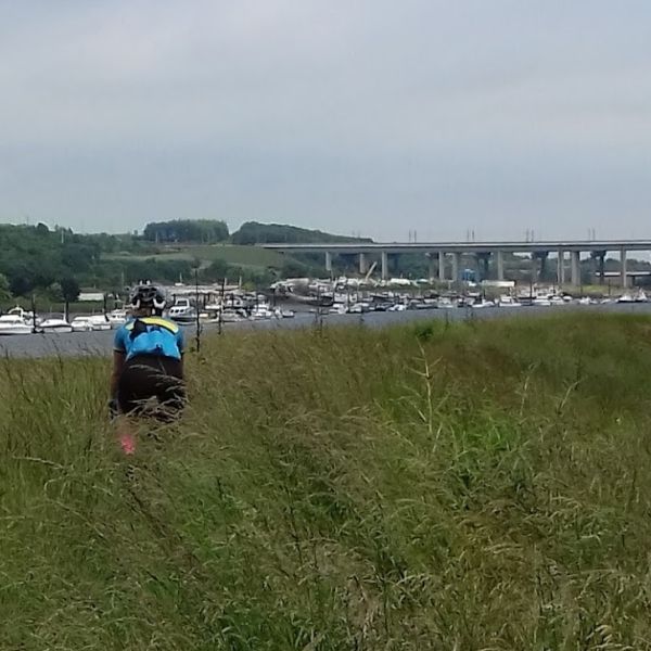 Cyclist approaching the Medway Bridge on Hidden Tracks Cycling’s off-road bike Pilgrimage routes from London to Rochester.