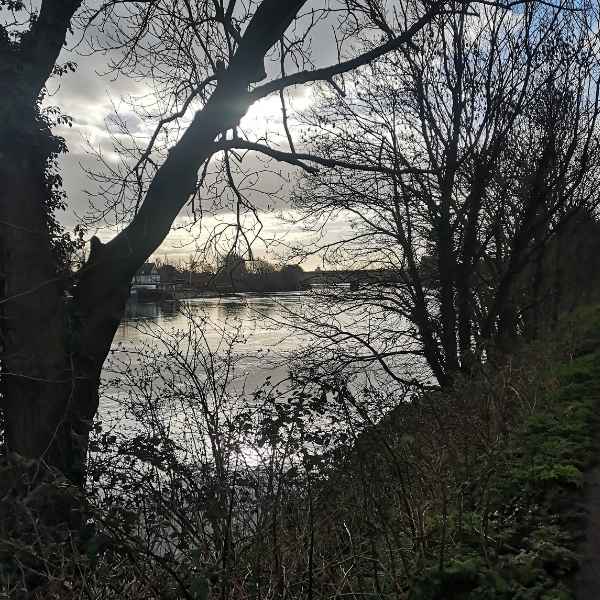 Moody Thames seen on the Womble Hunt bike ride one of Hidden Tracks Cycling collection of Bike routes around London 