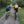 Load image into Gallery viewer, Pair of off-road cyclists enjoying the trails on Hidden Tracks Cycling’s off-road bike exploring the Tillingbourne Valley in Surrey 
