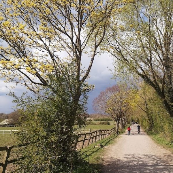 Pair of cyclists riding on the well maintained bridlepaths near Epsom, Surrey on Hidden Tracks Cycling’s Roman road to Box Hill bike route.