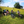 Load image into Gallery viewer, A group of female riders resting on the shade of a tree on Farthing Downs from Hidden tracks cycling 4 Commons GPX bike route 
